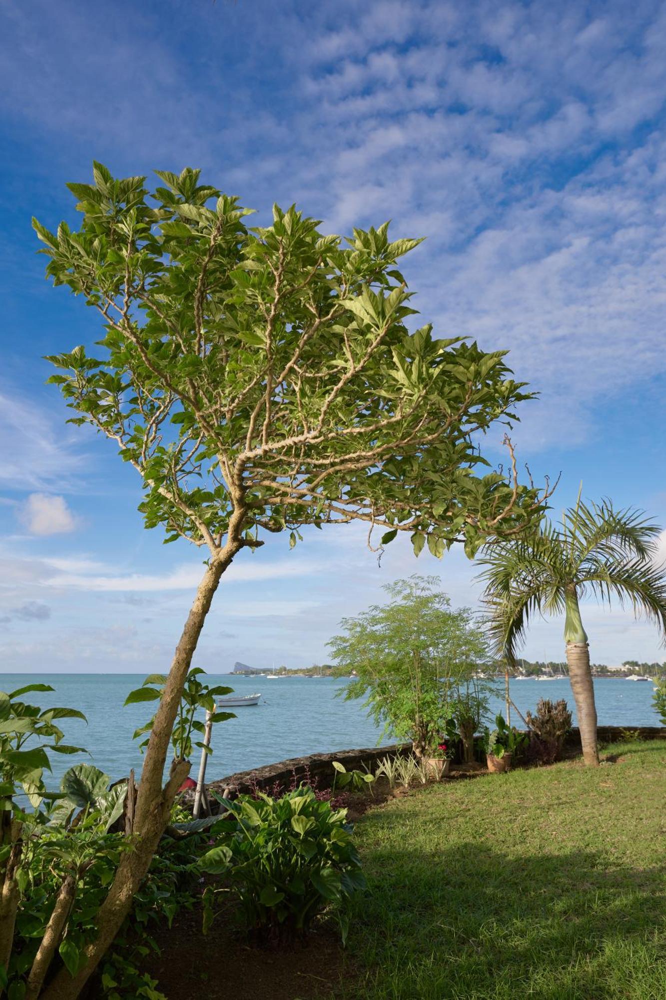 Lagoon View Residence Grand Baie Exterior foto